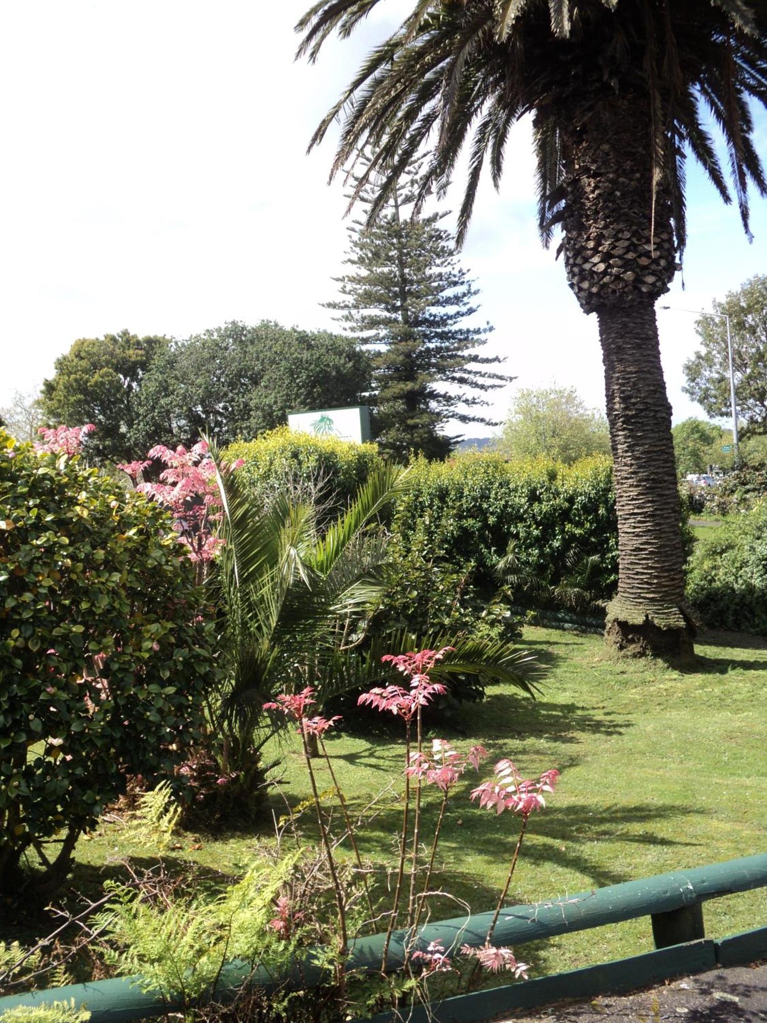 New Haven Motel Auckland Exteriör bild